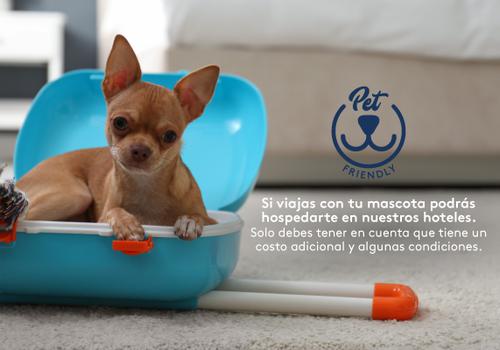 Admite mascotas Hotel ESTELAR Apartamentos Medellín Medellín