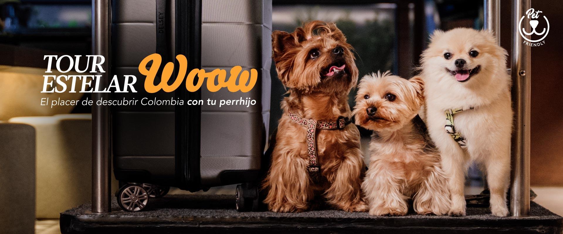 ESTELAR Apartamentos Medellín Colombia - Medellín ESTELAR Apartamentos Medellín Colombia - Medellín